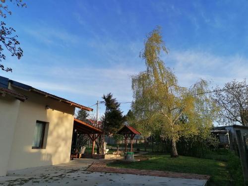 a tree in a yard next to a house at Vila Mila Fruška Gora in Velika Remeta