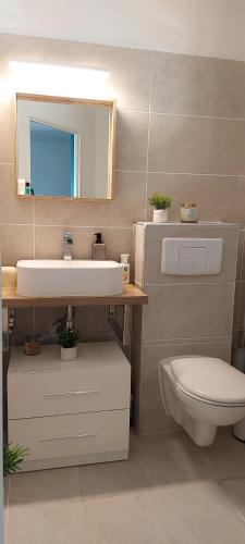 W łazience znajduje się umywalka, toaleta i lustro. w obiekcie Studio à 5kms de la capitale et porte d'entrée vers Nord Caraïbes w mieście Schœlcher