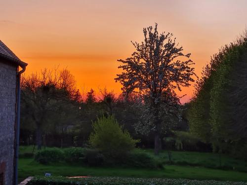 Solopgangen eller solnedgangen set fra bed and breakfast-stedet