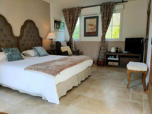 a bedroom with a large bed and a television at Le Clos Bel Ami Chambre d'hôtes avec piscine in Bec-de-Mortagne