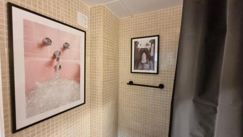 a bathroom with a picture of a shower at El Sueño de Sheyla Aguadulce in Aguadulce