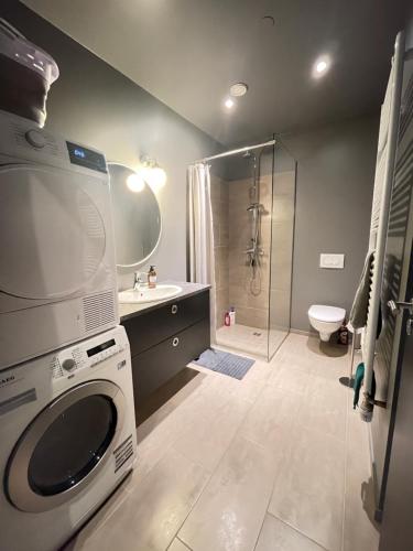 a bathroom with a washing machine and a shower at Hlíðarvegur 20 - Gagginn in Siglufjörður