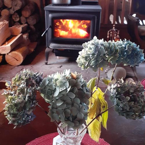 a vase of flowers on a table in front of a fireplace at Alert Bay Lodge in Alert Bay