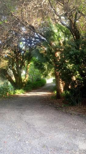 Irongate Retreat – Photos 5