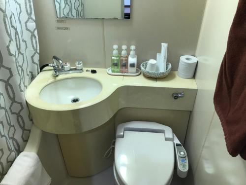a small bathroom with a sink and a toilet at Biz Hotel Kiiyura in Yura