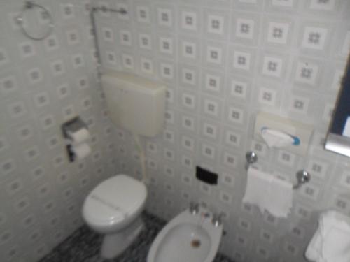 リミニにあるHotel Giordano Spiaggiaのバスルーム(白いトイレ、シンク付)