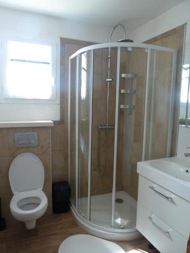 une salle de bain avec une douche avec des toilettes et un lavabo dans l'établissement La Vigne, à Saint-Just