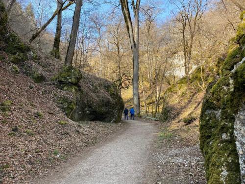 two people walking down a dirt road in the woods at Ferienwohnung Roth, Unlingen in Unlingen