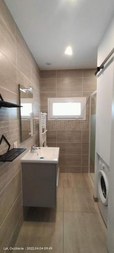 une salle de bain avec un lavabo et une machine à laver dans l'établissement Studio de jardin Le Cabanon avec SPA, à Issendolus