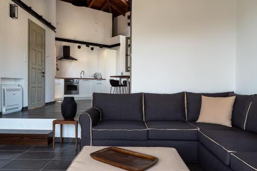 a living room with a blue couch and a kitchen at Jasmine by the sea - Κάτω Γατζέα, Πήλιο in Kato Gatzea