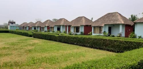Corbett Jungle Forest Resort – Photos 5