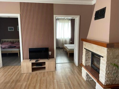 sala de estar con TV y chimenea en Csuszka vendégház, en Tiszafüred