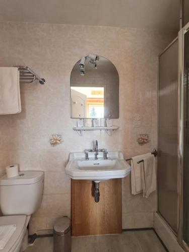 een badkamer met een wastafel, een toilet en een spiegel bij Hôtel des Cévennes in Mézilhac