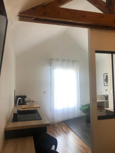 a kitchen with a sink and a window at studio moderne et confortable Le nid in Cholet