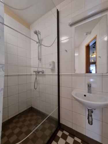 a bathroom with a shower and a sink at Sepikoja Guest House in Alatskivi