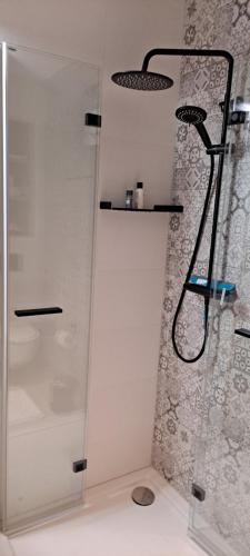 a shower in a bathroom with a glass door at Green Apartment Międzywodzie in Międzywodzie