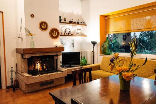a living room with a fireplace and a table at Villa Irene Pisticci-Matera in Pisticci