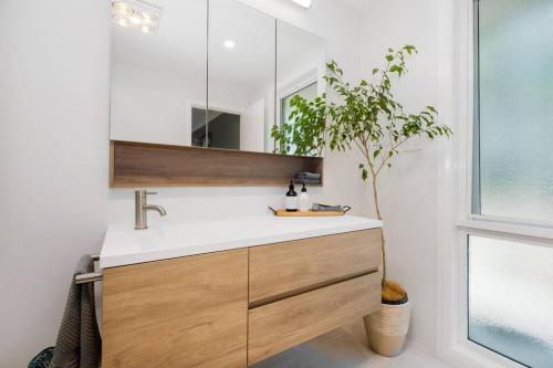 un bagno con lavandino e pianta in vaso di The Lake House - Luxury home with Pool a Berkeley Vale