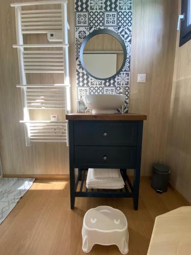 une salle de bain avec un lavabo et un miroir dans l'établissement Tiny et Jacuzzi Charente Maritime, à Plassay