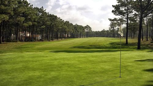 a view of a golf green with trees on it at Oasis of Aroeira Golf & Beach House in Aroeira