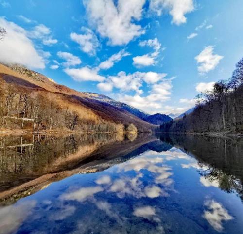 a view of a river with trees and clouds in the sky at Log cabin 1 Merdovic in Mojkovac