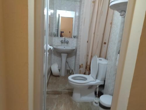 a bathroom with a toilet and a sink at Фамилна къща Джоко in Kiten
