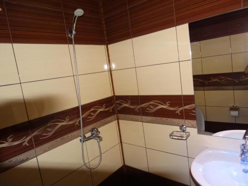 a bathroom with a shower and a sink at Hotel Grivitsa in Pleven