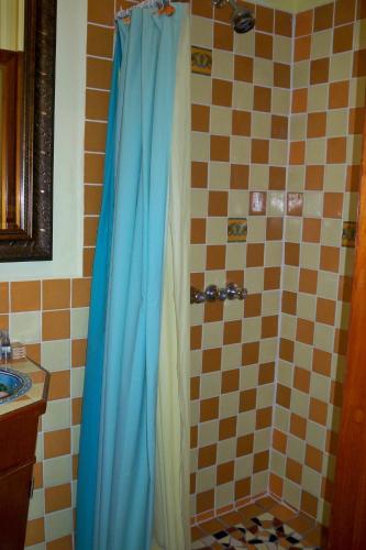 a shower with a blue shower curtain in a bathroom at Alan's Paradise Hotel in Placencia