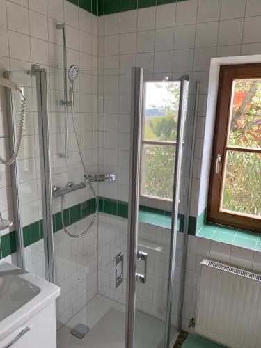 ein Bad mit einer Dusche und einer Glastür in der Unterkunft Koschak Wirt & Weinbauer in Heimschuh