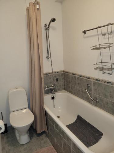 a bathroom with a toilet and a bath tub with a sink at Cozy studio apartment in central Akureyri. in Akureyri