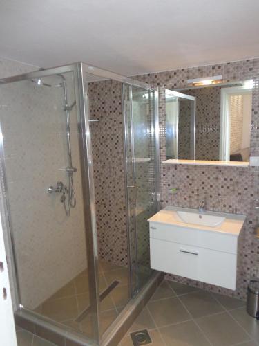 a bathroom with a shower and a sink at Apartments Ponta in Kotor