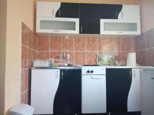 Een keuken of kitchenette bij Dupleks apartmani "Šumadija" Bogutovačka Banja