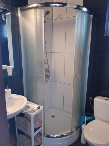 La salle de bains est pourvue d'une douche, d'un lavabo et de toilettes. dans l'établissement Ptasi Raj, à Karwia