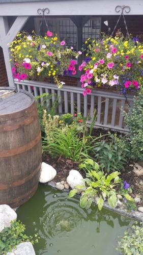 a garden with flowers and a barrel and a pond at Castle Hotel in Eynsford