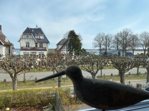 Naturlandskabet i nærheden af hotellet