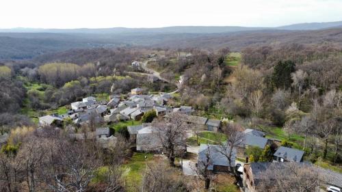 una vista aérea de una casa en un bosque en La Casa Verde en Sanabria de 4 habitaciones y 2 baños, en Cerdillo