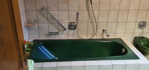 a green bath tub in a bathroom with a shower at Haus Anicka zum Bömerwaldjeti in Aigen im Mühlkreis