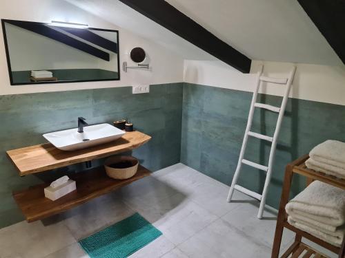 a bathroom with a sink and a ladder at B&B Finca la Yuca "Un paraíso en Ontinyent" in Ontinyent