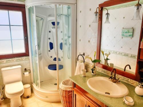 a bathroom with a shower and a sink and a toilet at Casa Lucas in Vega de San Mateo