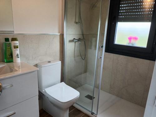 a bathroom with a toilet and a shower with a window at APARTAMENTOS LOS MANZANOS in Ribadesella