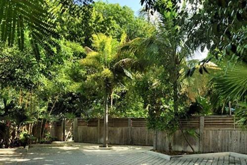 a palm tree in front of a wooden fence at Duval Street Suite w parking and pool in Key West
