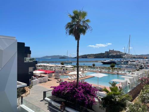 a view of a swimming pool with a palm tree at Ibiza Corso Hotel & Spa in Ibiza Town