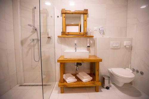 a bathroom with a sink and a toilet and a shower at House Mrzlin Grad in Korenica