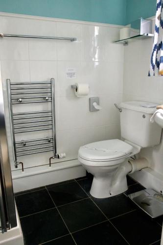a bathroom with a white toilet and a shower at Rowan House B&B Rooms & A Self Catering Apartment in Lochgoilhead