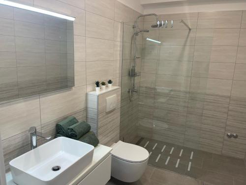 a bathroom with a toilet and a sink and a shower at Apartments Demarin in Medulin