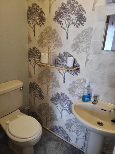 a bathroom with a toilet and a sink at Hesketh Hotel in Blackpool