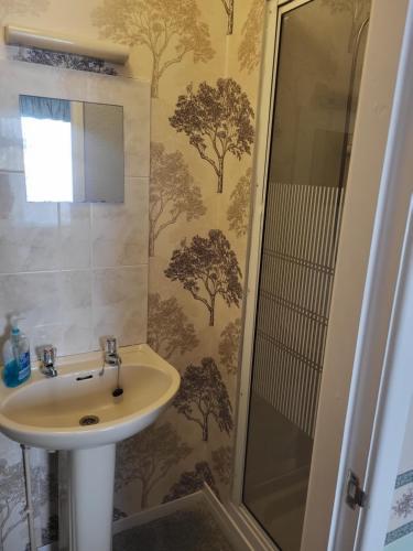a bathroom with a sink and a shower at Hesketh Hotel in Blackpool