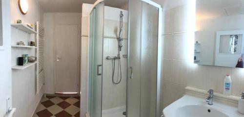 een badkamer met douche en wastafel bij Chata Michaela in Turnov