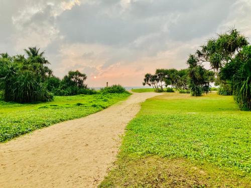 a dirt road in a field with palm trees at Manel Villa in Bentota