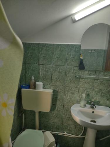 Bilik mandi di Pensiunea Ghiță Vasile